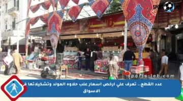 عدد القطع.. تعرف على أرخص أسعار علب حلاوة المولد وتشكيلاتها في الأسواق